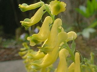 �~���}�L�P�}��